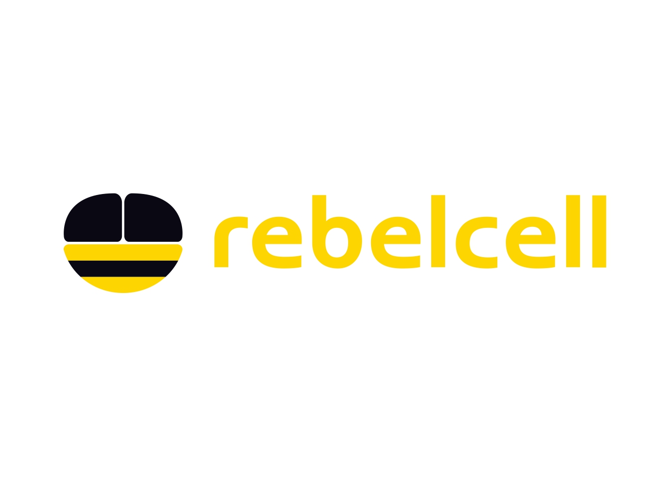 Baterii si accesorii Rebelcell
